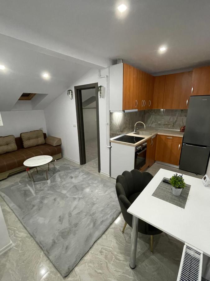 Cozy Apartament With 2Rooms Timisoara Bagian luar foto