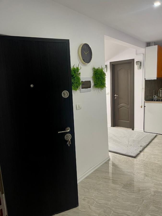 Cozy Apartament With 2Rooms Timisoara Bagian luar foto